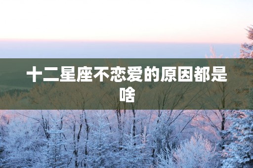 十二星座不恋爱的原因都是啥
