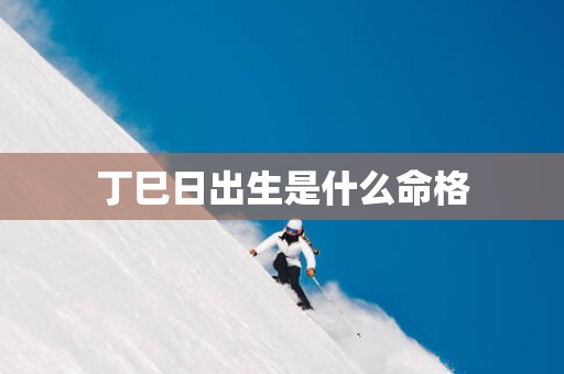 丁巳日出生是什么命格