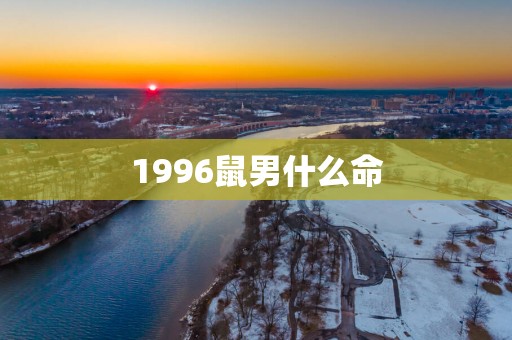 1996鼠男什么命