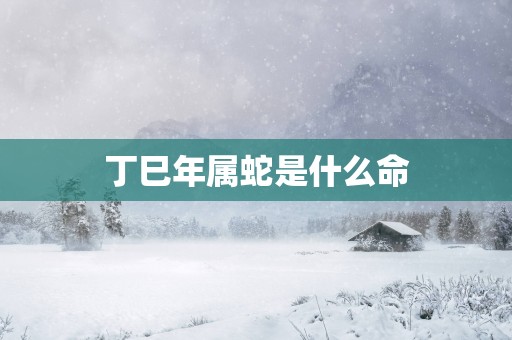 丁巳年属蛇是什么命