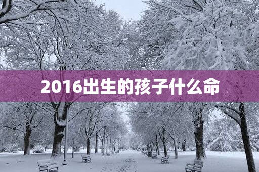 2016出生的孩子什么命
