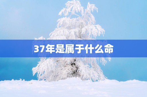 37年是属于什么命