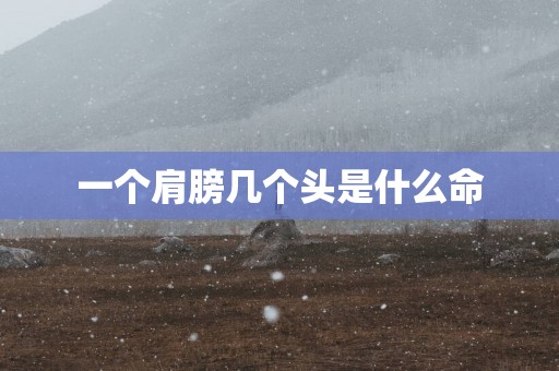 一个肩膀几个头是什么命