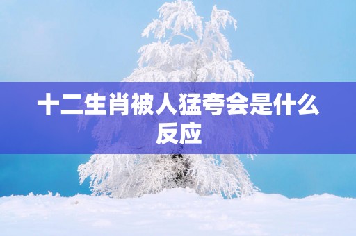 十二生肖被人猛夸会是什么反应