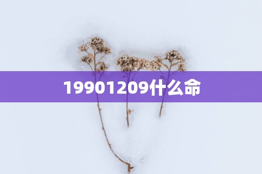19901209什么命