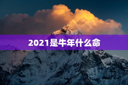 2025是蛇年什么命