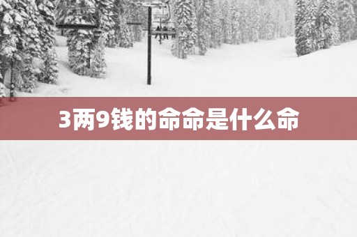 3两9钱的命命是什么命