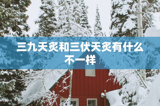 三九天炙和三伏天炙有什么不一样