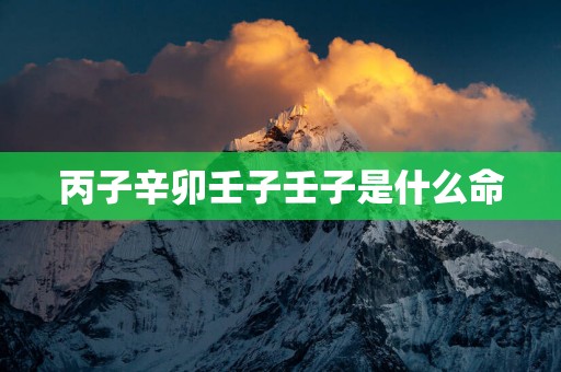 丙子辛卯壬子壬子是什么命