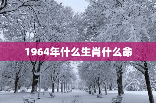 1964年什么生肖什么命