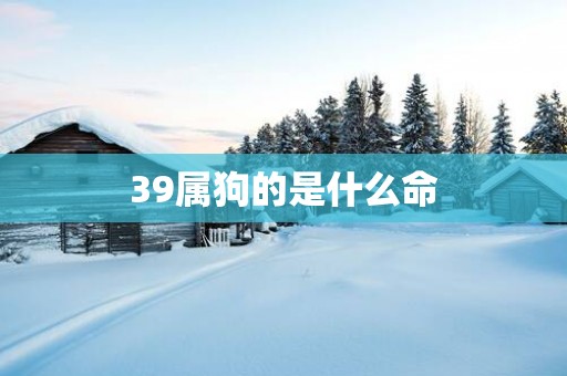 39属狗的是什么命