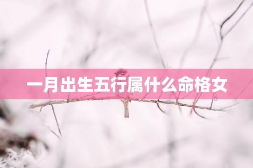 一月出生五行属什么命格女