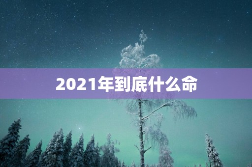 2025年到底什么命