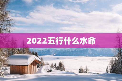 2025五行什么水命
