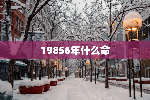 19856年什么命