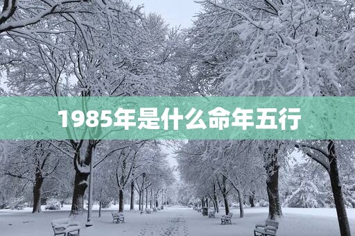 1985年是什么命年五行