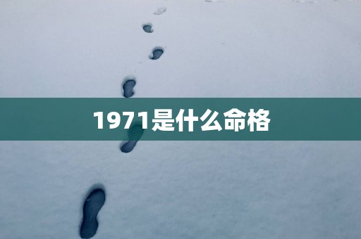 1971是什么命格