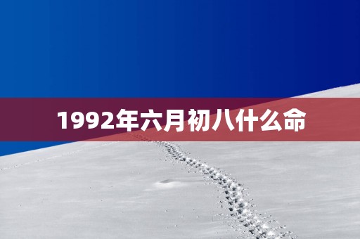 1992年六月初八什么命
