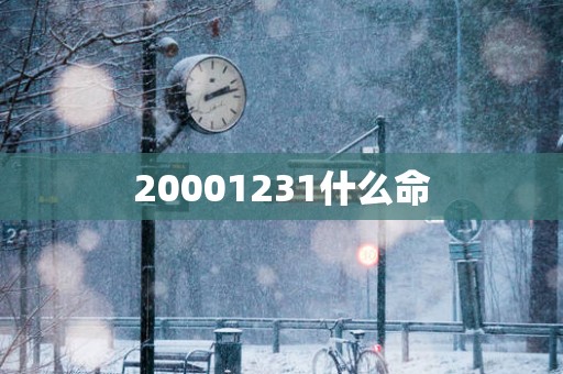 20001231什么命