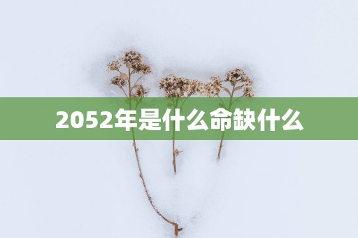 2052年是什么命缺什么