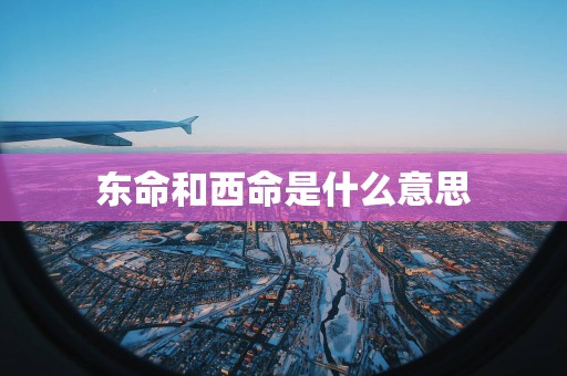 东命和西命是什么意思
