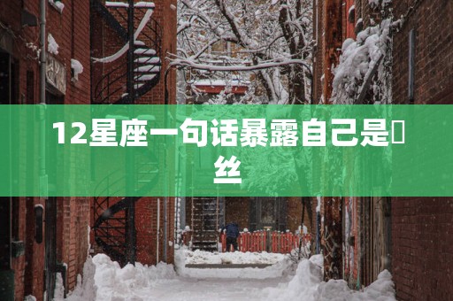 12星座一句话暴露自己是屌丝