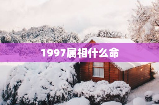 1997属相什么命