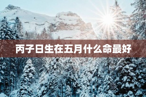 丙子日生在五月什么命最好