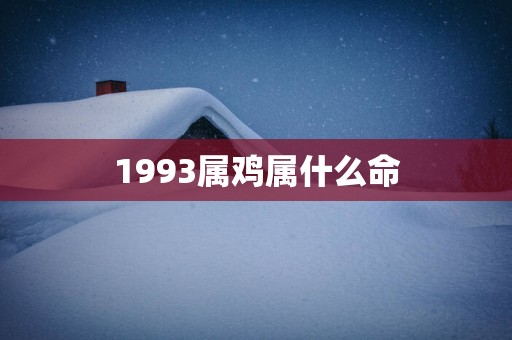 1993属鸡属什么命