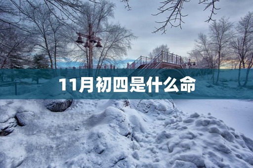 11月初四是什么命