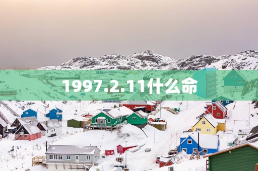 1997.2.11什么命
