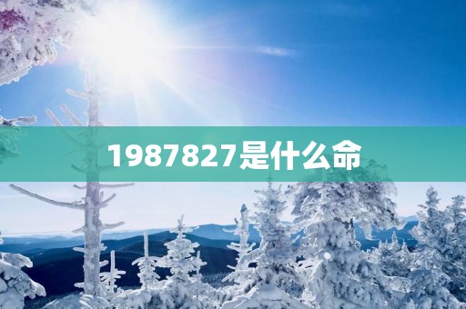 1987827是什么命