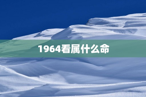 1964看属什么命