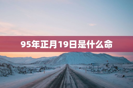95年正月19日是什么命