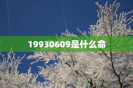 19930609是什么命
