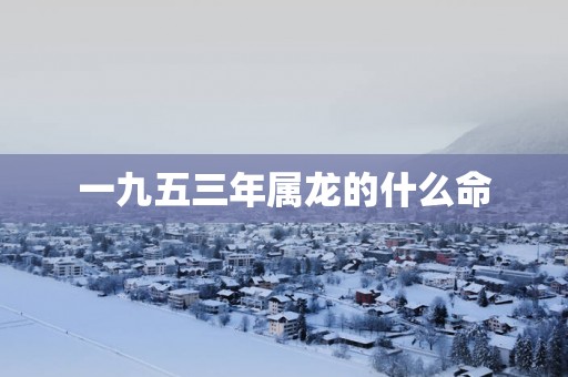 一九五三年属龙的什么命