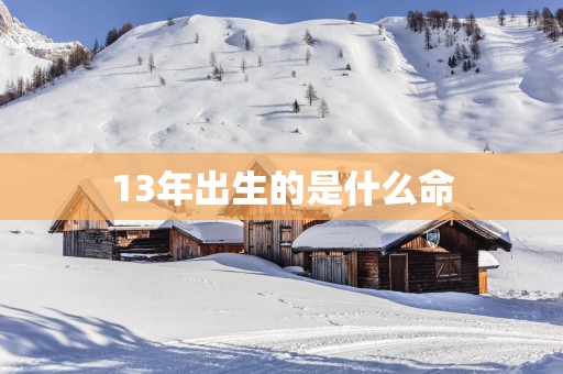 13年出生的是什么命