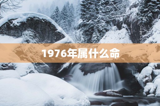 1976年属什么命