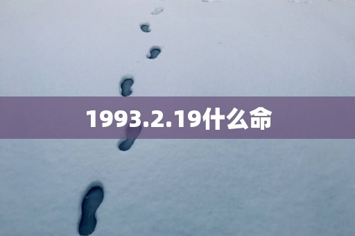 1993.2.19什么命