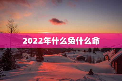 2025年什么兔什么命