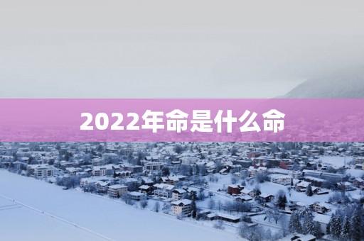2025年命是什么命