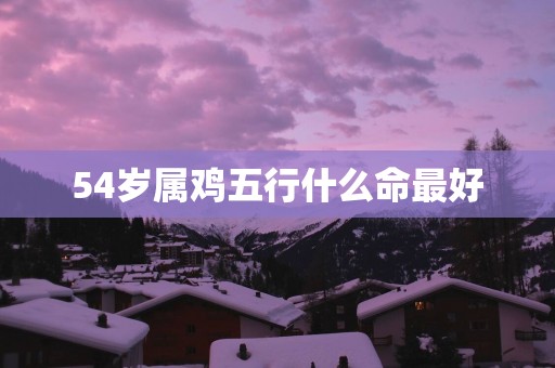 54岁属鸡五行什么命最好