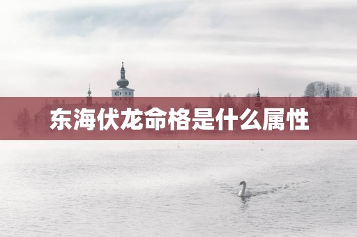 东海伏龙命格是什么属性