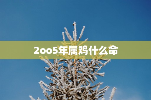 2oo5年属鸡什么命