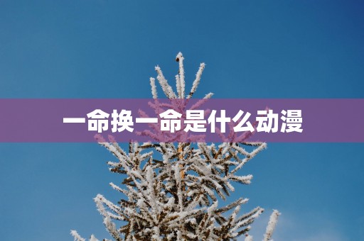 一命换一命是什么动漫