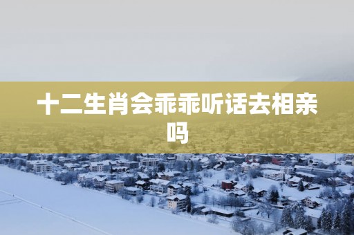 十二生肖会乖乖听话去相亲吗