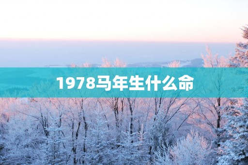 1978马年生什么命