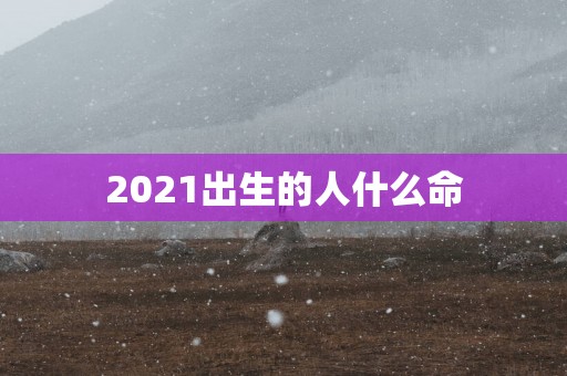 2025出生的人什么命