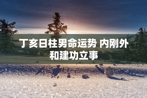 丁亥日柱男命运势 内刚外和建功立事