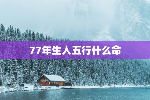 77年生人五行什么命